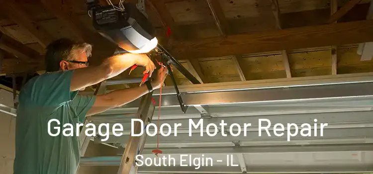  Garage Door Motor Repair South Elgin - IL