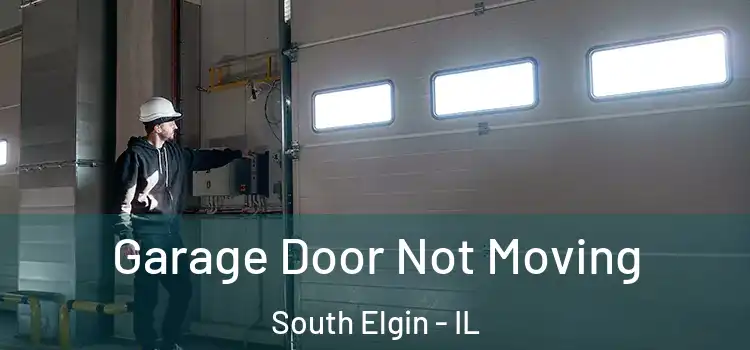  Garage Door Not Moving South Elgin - IL