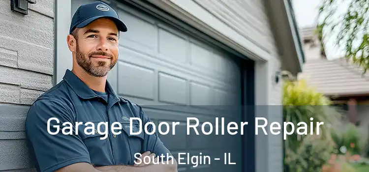  Garage Door Roller Repair South Elgin - IL