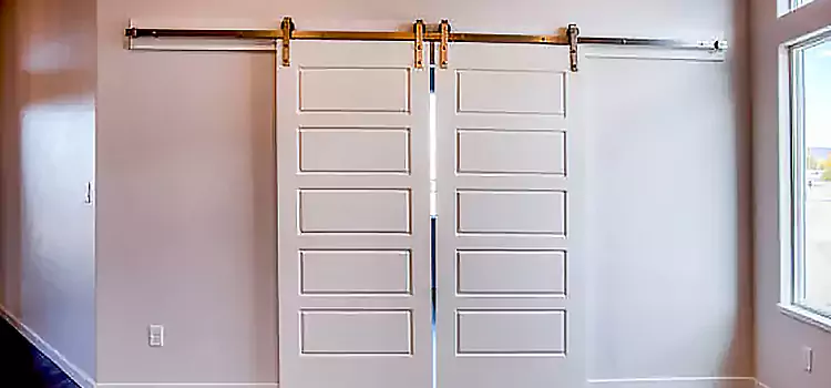 Glass Barn Door with Installation Hardware Kit South Elgin