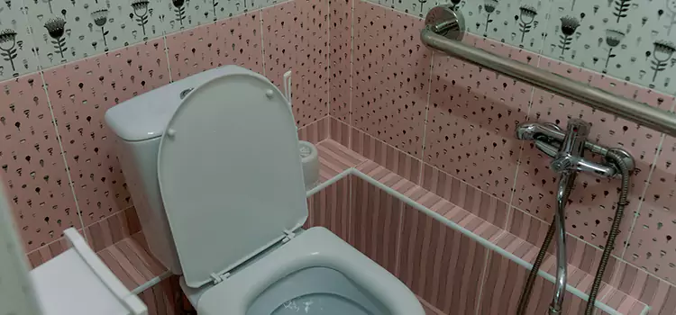 Meeting Diverse Needs With Accessible Restroom Solutions in South Elgin, IL