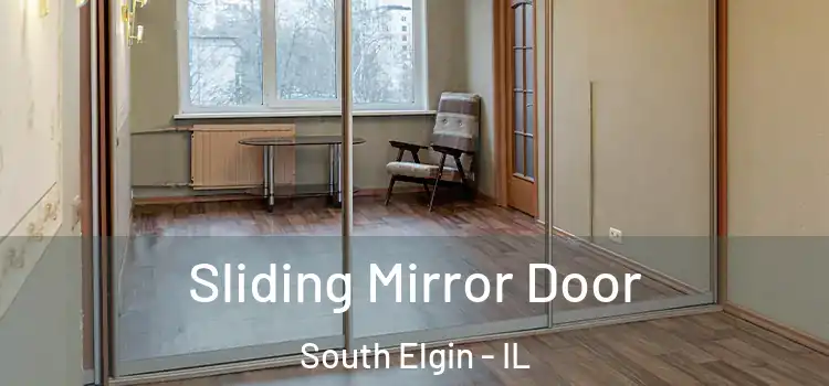  Sliding Mirror Door South Elgin - IL